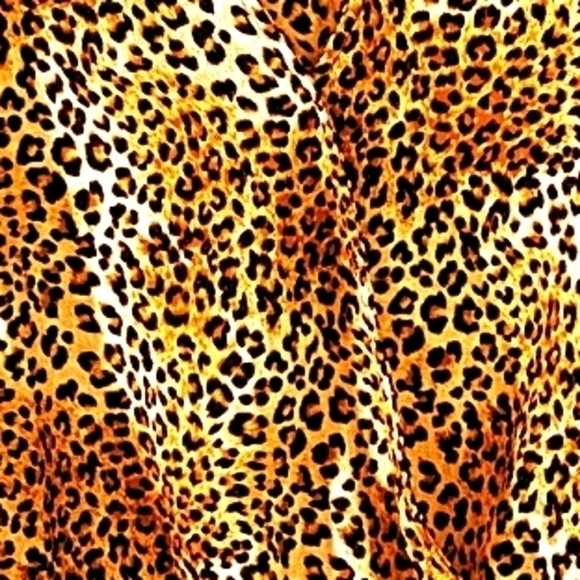 Sadie & Sage Med Surplus Leopard Print Long Sleeve Blouse - Picture 5 of 6